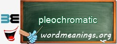 WordMeaning blackboard for pleochromatic